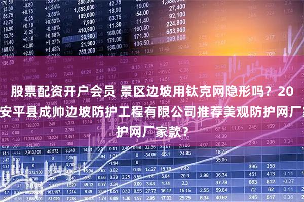 股票配资开户会员 景区边坡用钛克网隐形吗？2025年安平县成帅边坡防护工程有限公司推荐美观防护网厂家款？