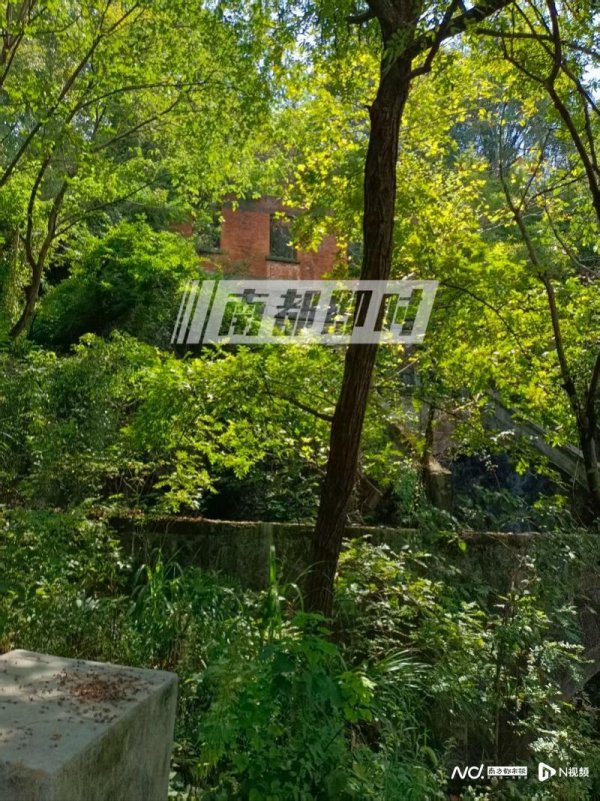 配资盘网 杭州女子氢氟酸中毒身亡，当地称锁定化学品所有者！发现三桶